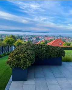 Jesienne Nasadzenia Roślin